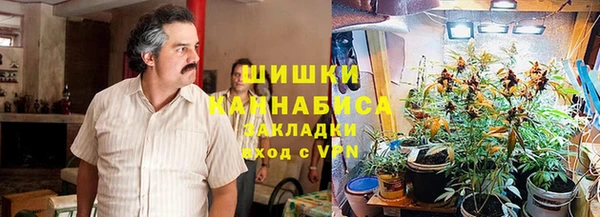дурь Белокуриха