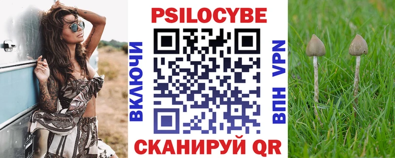 Галлюциногенные грибы мицелий  закладка  Верхотурье 