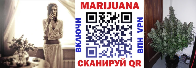 Каннабис план hydra онион Верхотурье